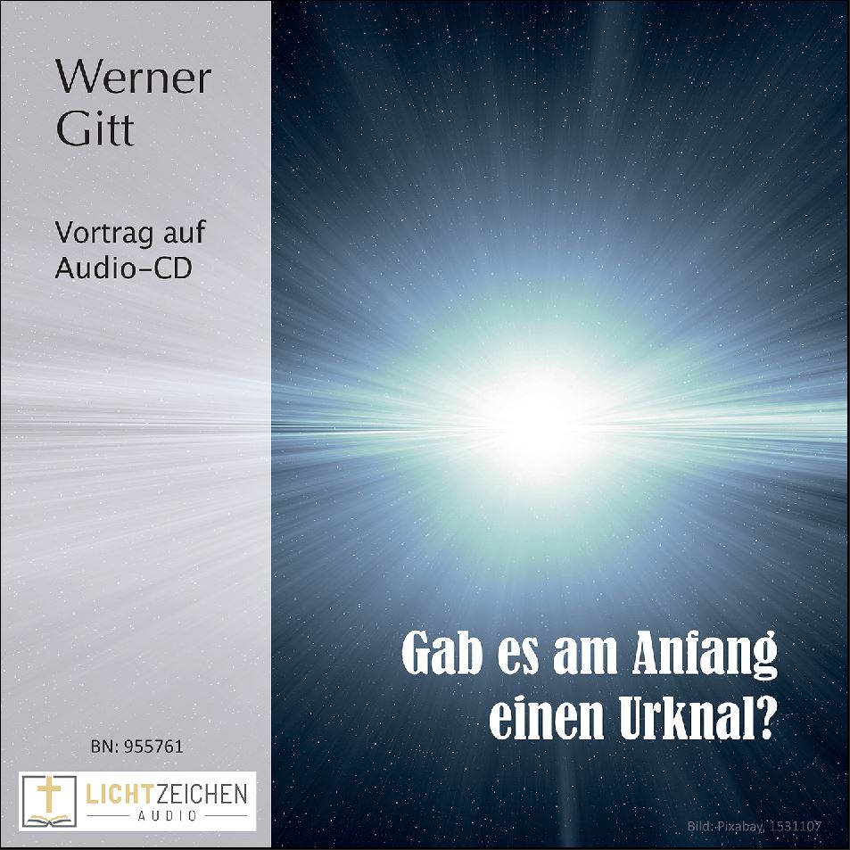 Gab es am Anfang einen Urknall? (Audio-CD)