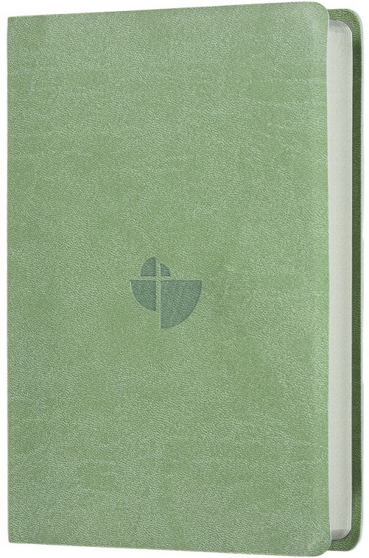 Schlachter 2000 Bibel - Taschenausgabe (oliv, grauer Farbschnitt)