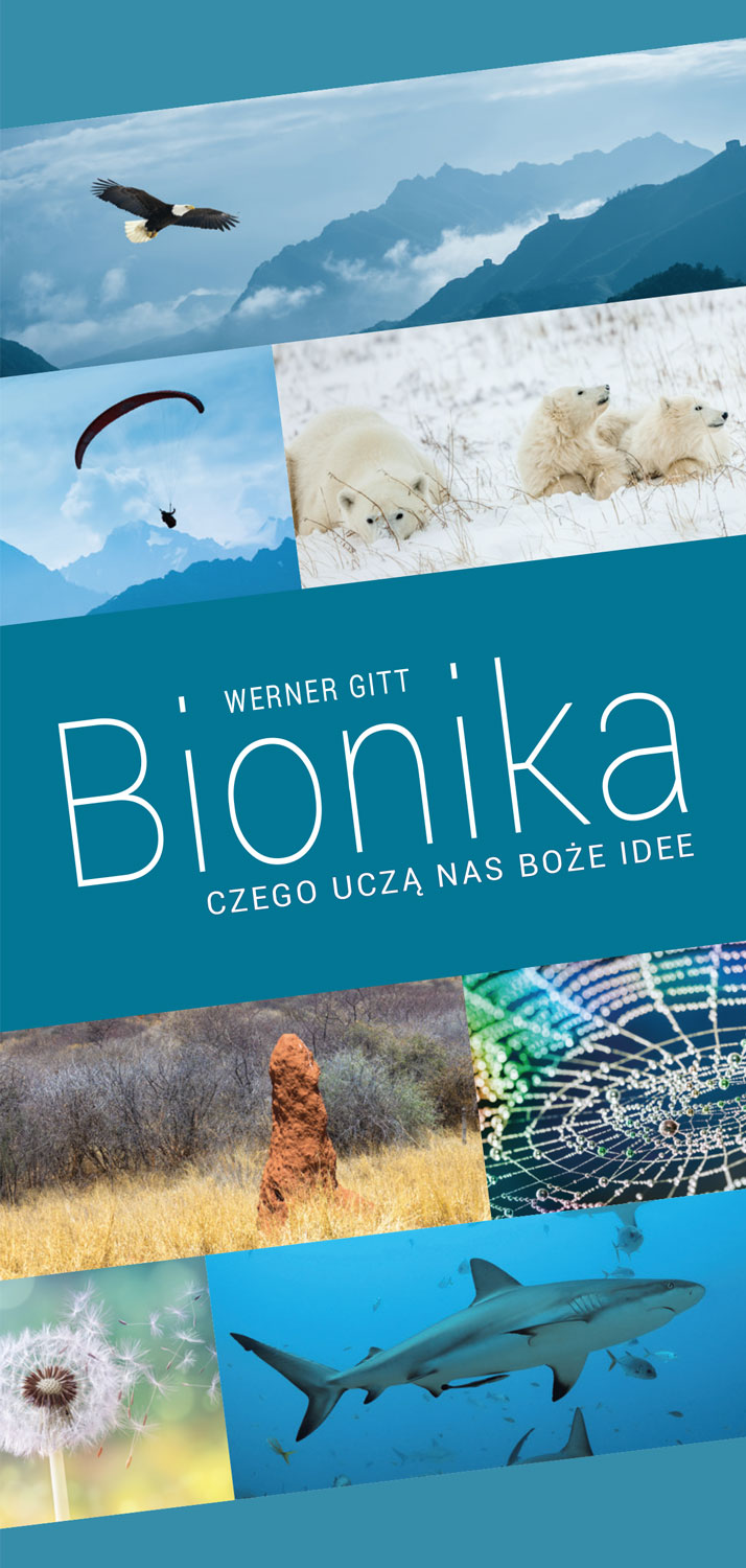 Polnisch: Bionik - Lernen von Gottes Ideen