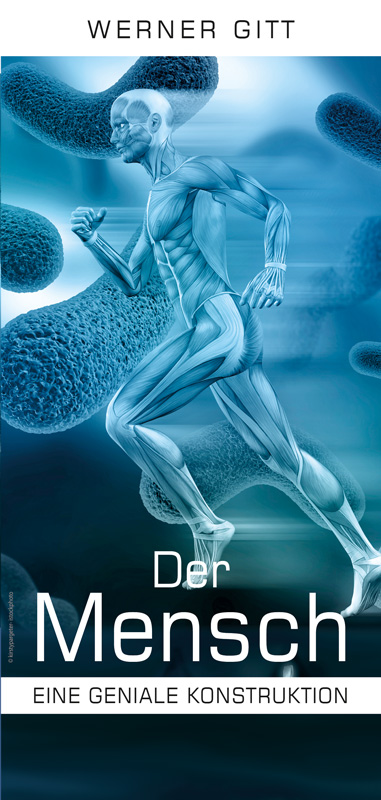 Der Mensch - Eine geniale Konstruktion
