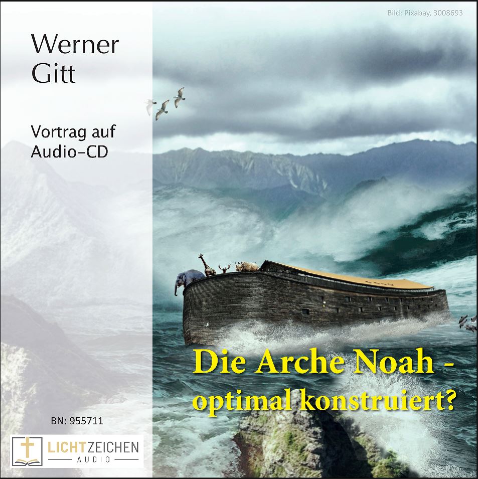 Die Arche Noah – optimal konstruiert? (Audio-CD)