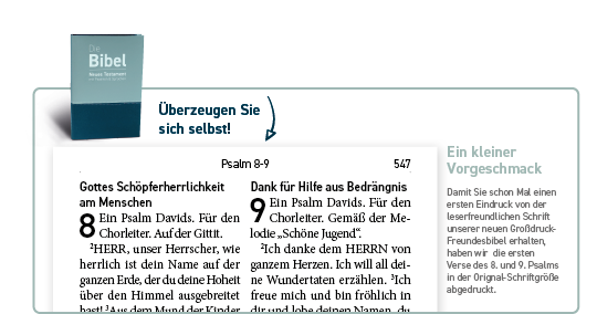 Großdruckbibel NT - luther.heute
