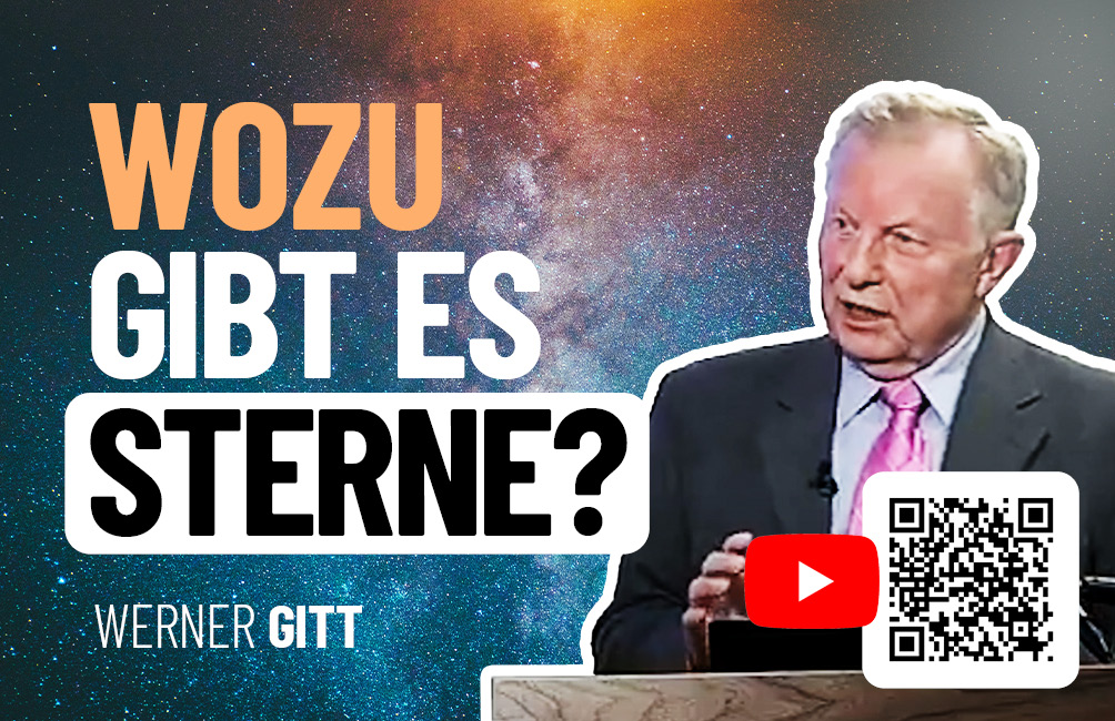 Wozu gibt es Sterne?